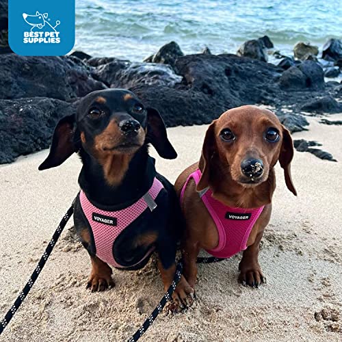 Best Pet Supplies Voyager all-season comfort supports pets during walks in any weather.