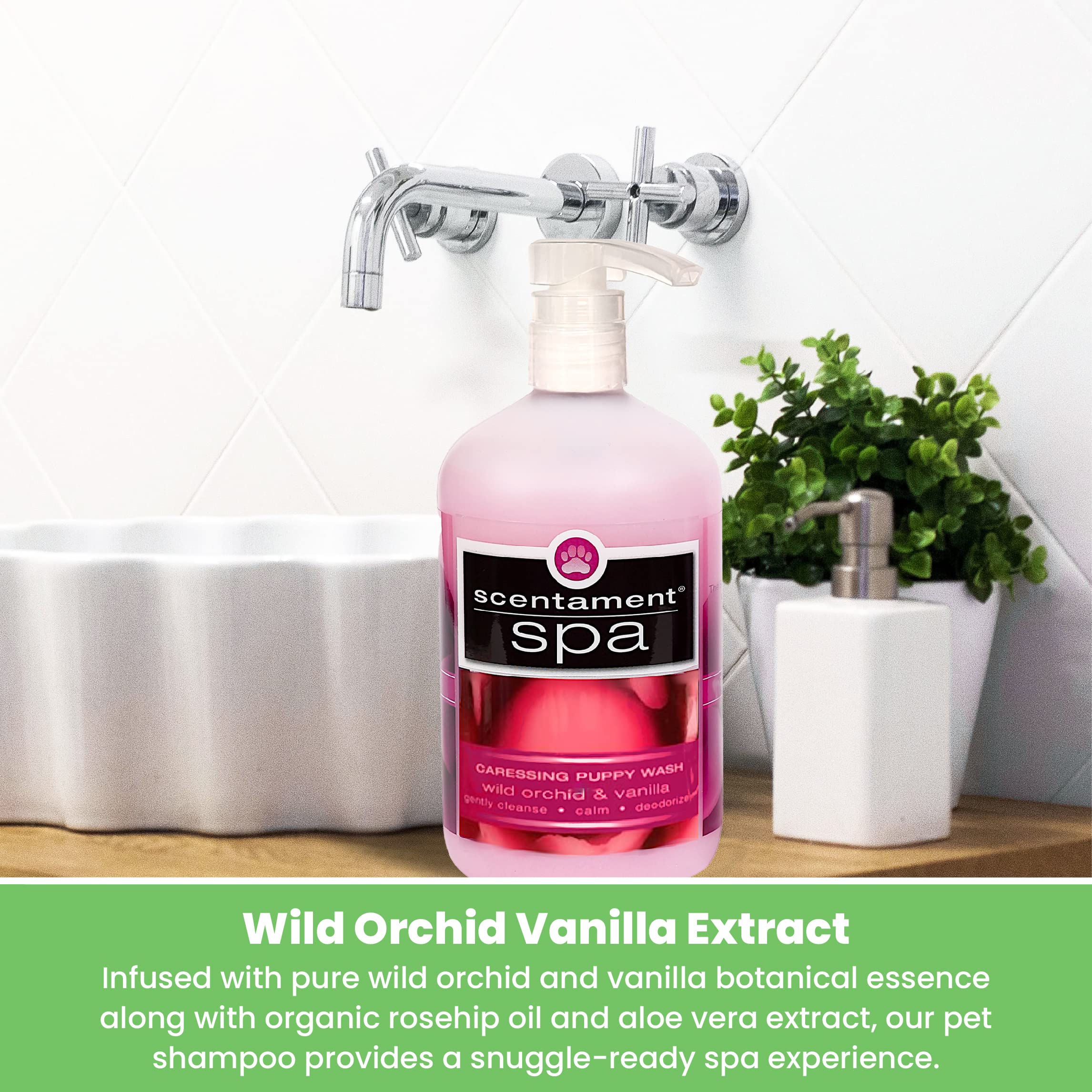 Best Shot Scentament Spa Aloe Vera soothing skin image promotes gentle cleanse and hydration.