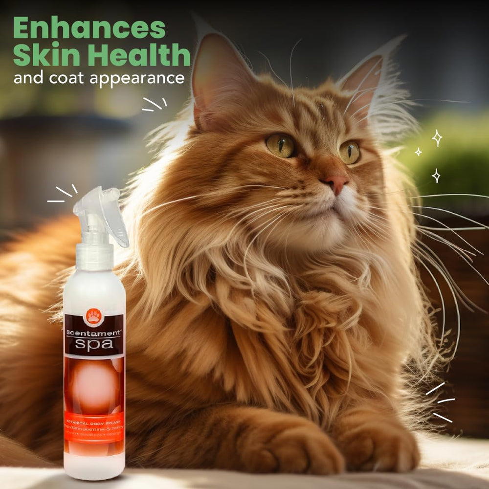 Best Shot Scentament Spa fragrance swirls evoke Mandarin Jasmine Honey scent during spray.