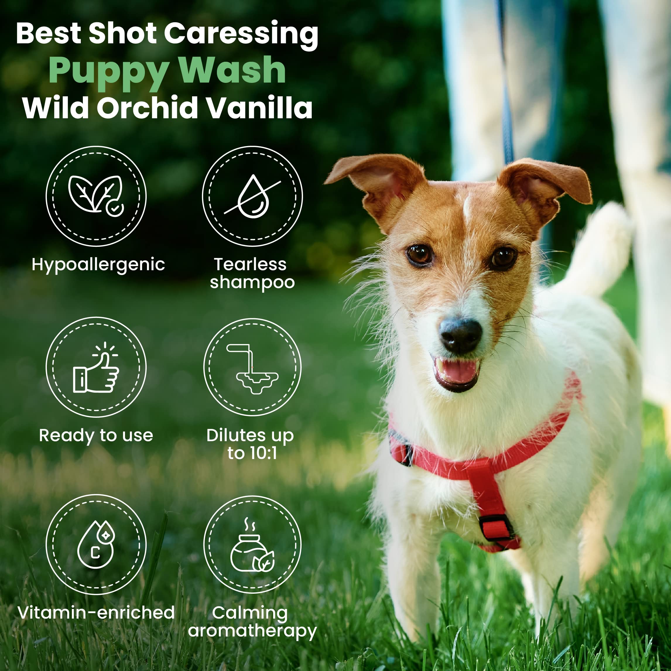 Best Shot Scentament Spa Rose Hip Oil glistening coat image communicates nourishing skin protection.