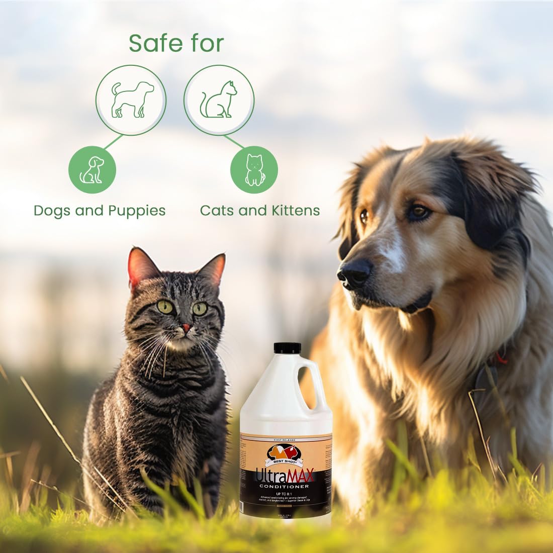 Best Shot UltraMAX Pro Conditioner application on cat coat highlights detangling support.