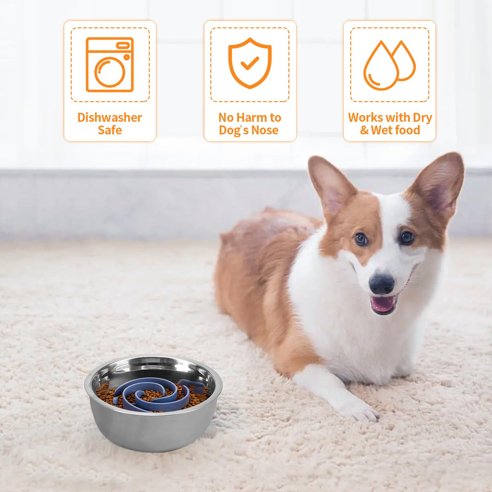 Bestalk fits glass, plastic, ceramic, and stainless bowls for versatility.