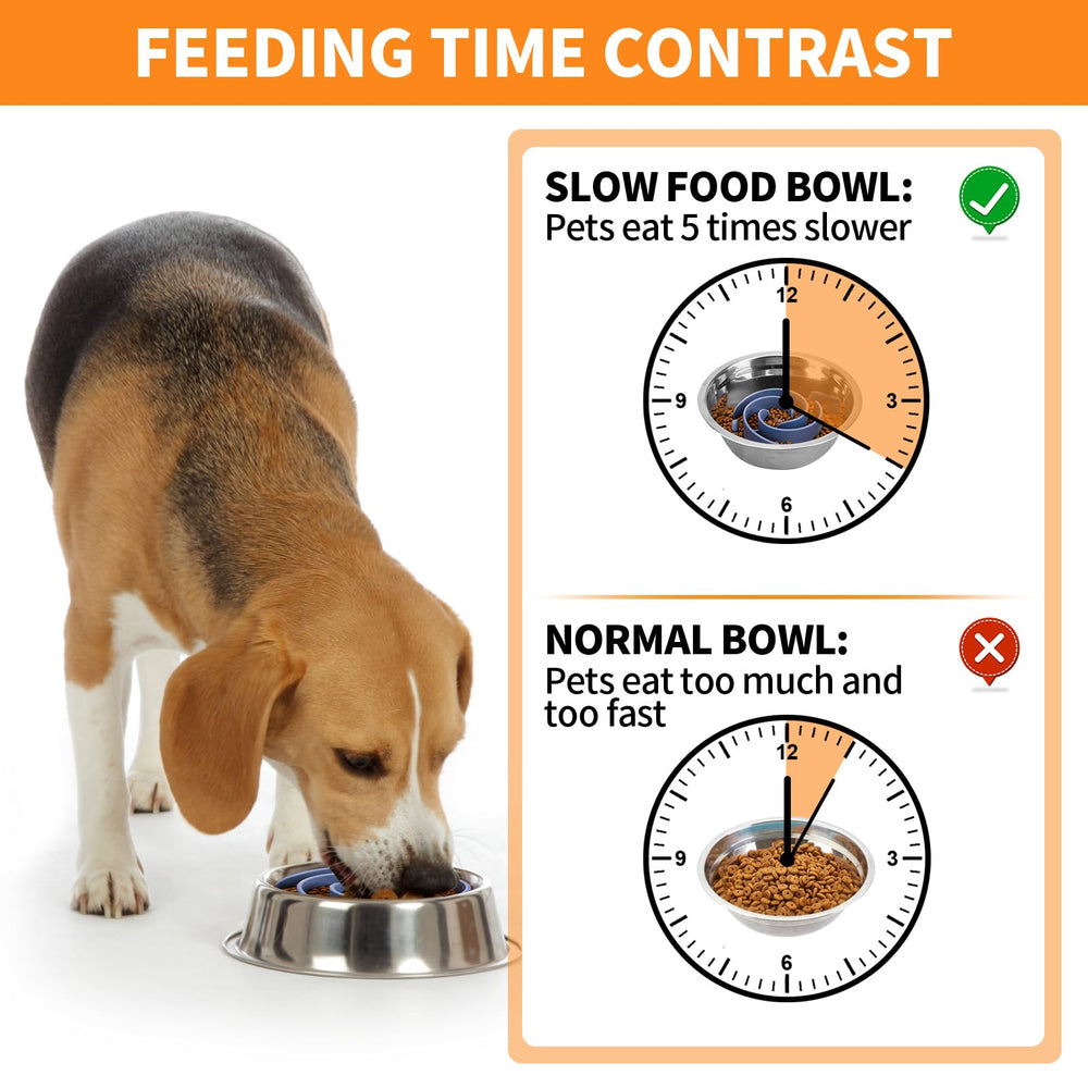Bestalk maze-pattern slow feeder design shown for mindful eating.