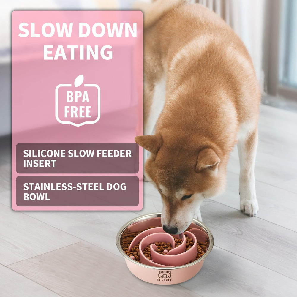 Bestalk stainless steel dog bowl with silicone insert ready for slow feeding.