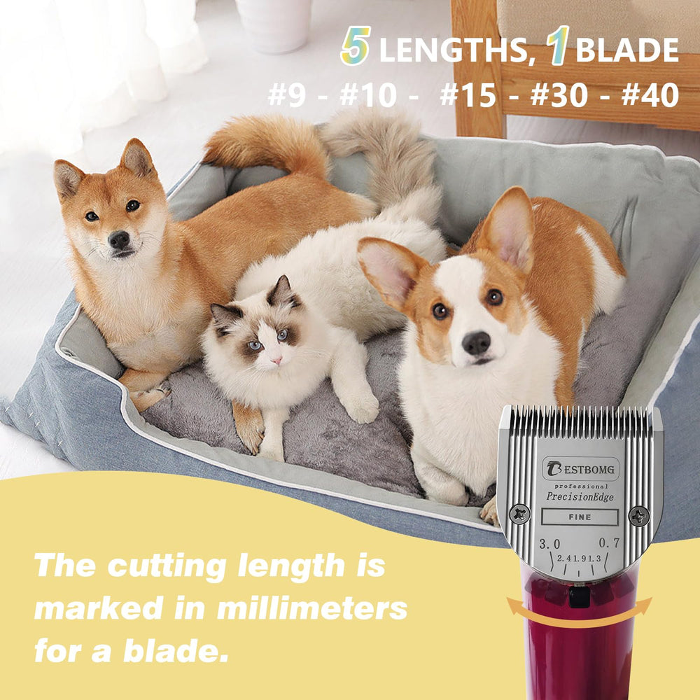 BESTBOMG blade 440C stainless steel with titanium coating for a durable, cool operation.