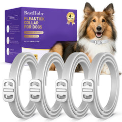 BestHoby flea tick collar 4-pack on dog for multi-dog households
