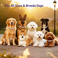 BestHoby flea tick collar non-greasy fur-friendly design