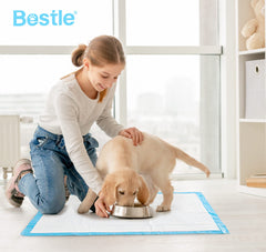 BESTLE large pad leak-proof film protects floors during training sessions.