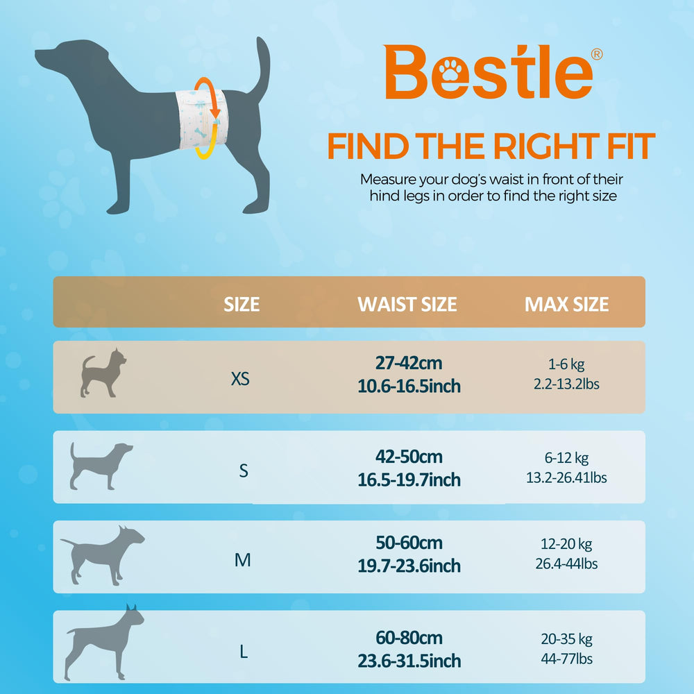 Bestle Male Dog Wrap on small dog's waist showing secure, comfortable fit.