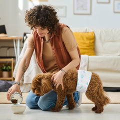 Bestle Male Dog Wrap quick-dry-absorbency helps keep your dog comfortable during outings.