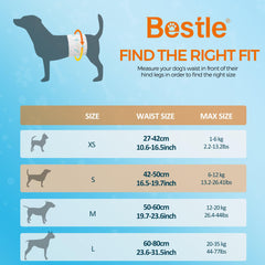 Bestle Male Dog Wrap urine-mess-protection demonstrates reliable absorbency and quick gel formation.