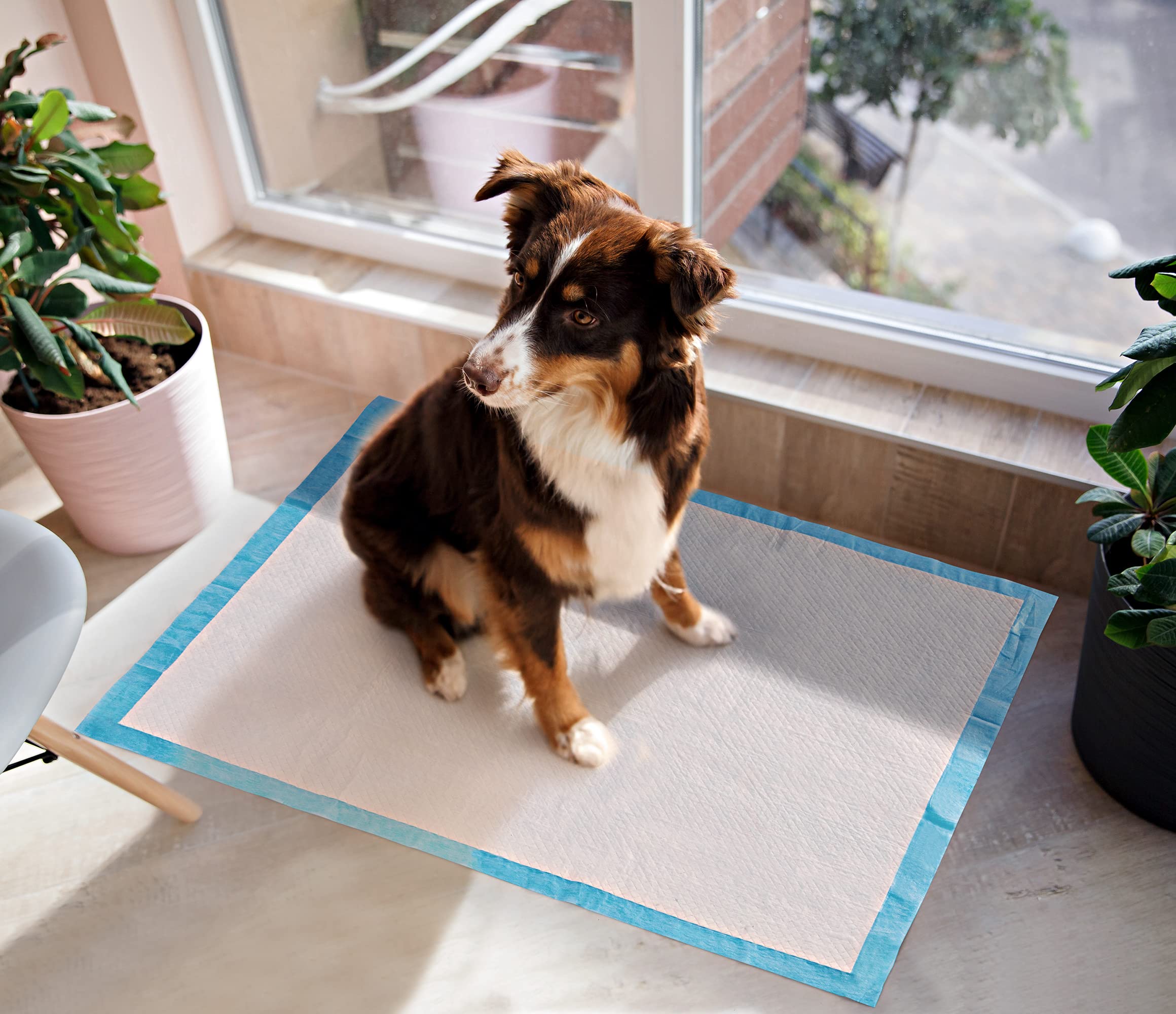 BESTLE puppy-pads-quick-dry-top-layer rapidly absorbs and dries for quick cleanup.