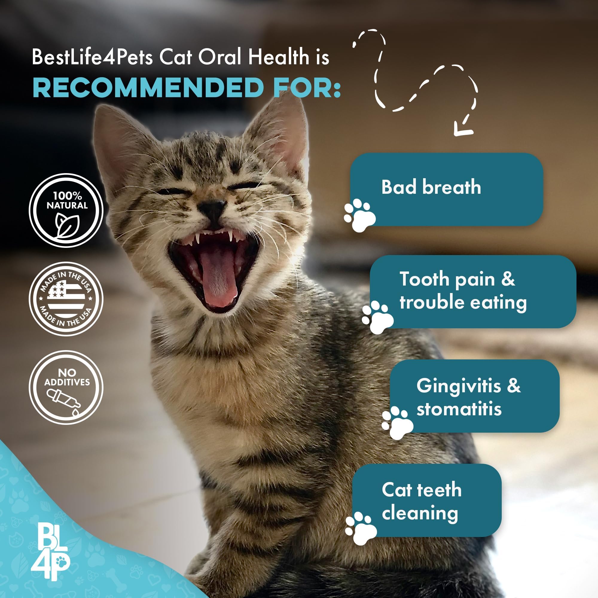BestLife4Pets 400-pill bottle closeup showing long-term value.