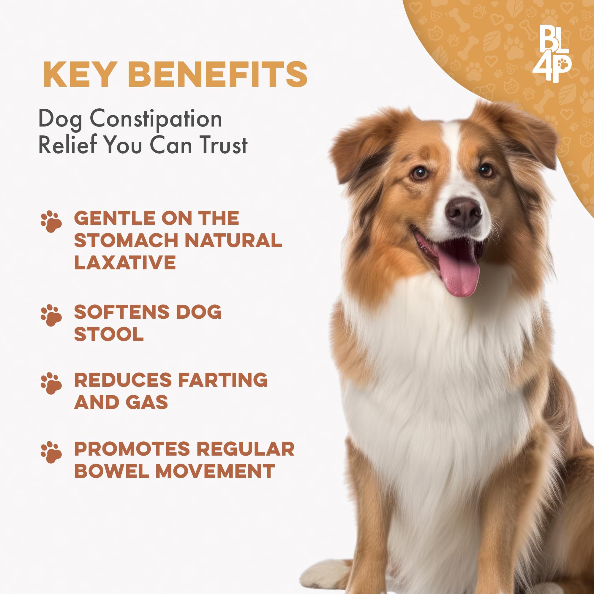 BestLife4Pets all-natural formula label emphasizing digestive health support for dogs
