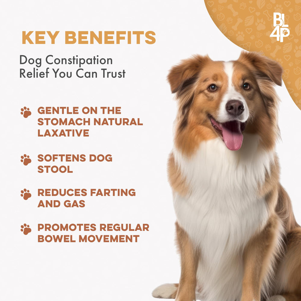 BestLife4Pets all-natural formula label emphasizing digestive health support for dogs