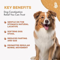 BestLife4Pets all-natural formula label emphasizing digestive health support for dogs