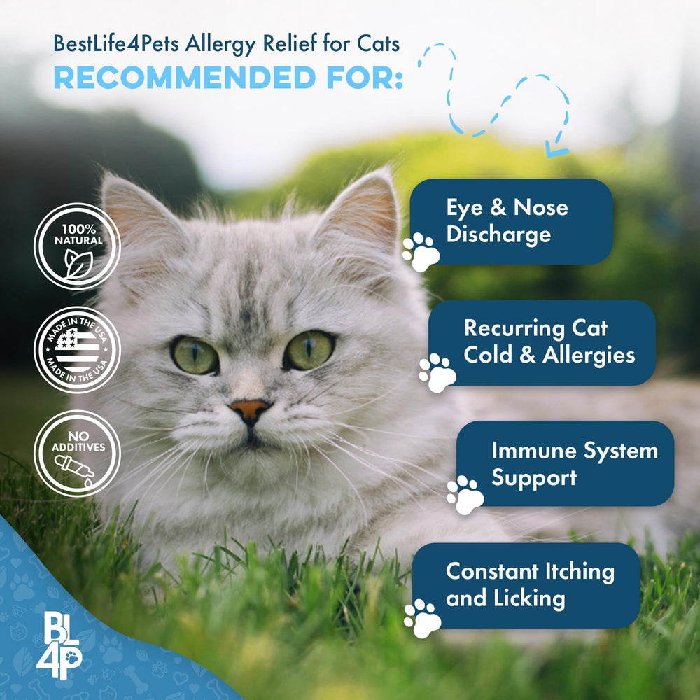 BestLife4Pets bottle-label-closeup notes non-GMO formula for daily gentle support