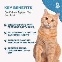 BestLife4Pets cat-bladder-crystals-ease: natural support for comfortable urination and feline wellness.