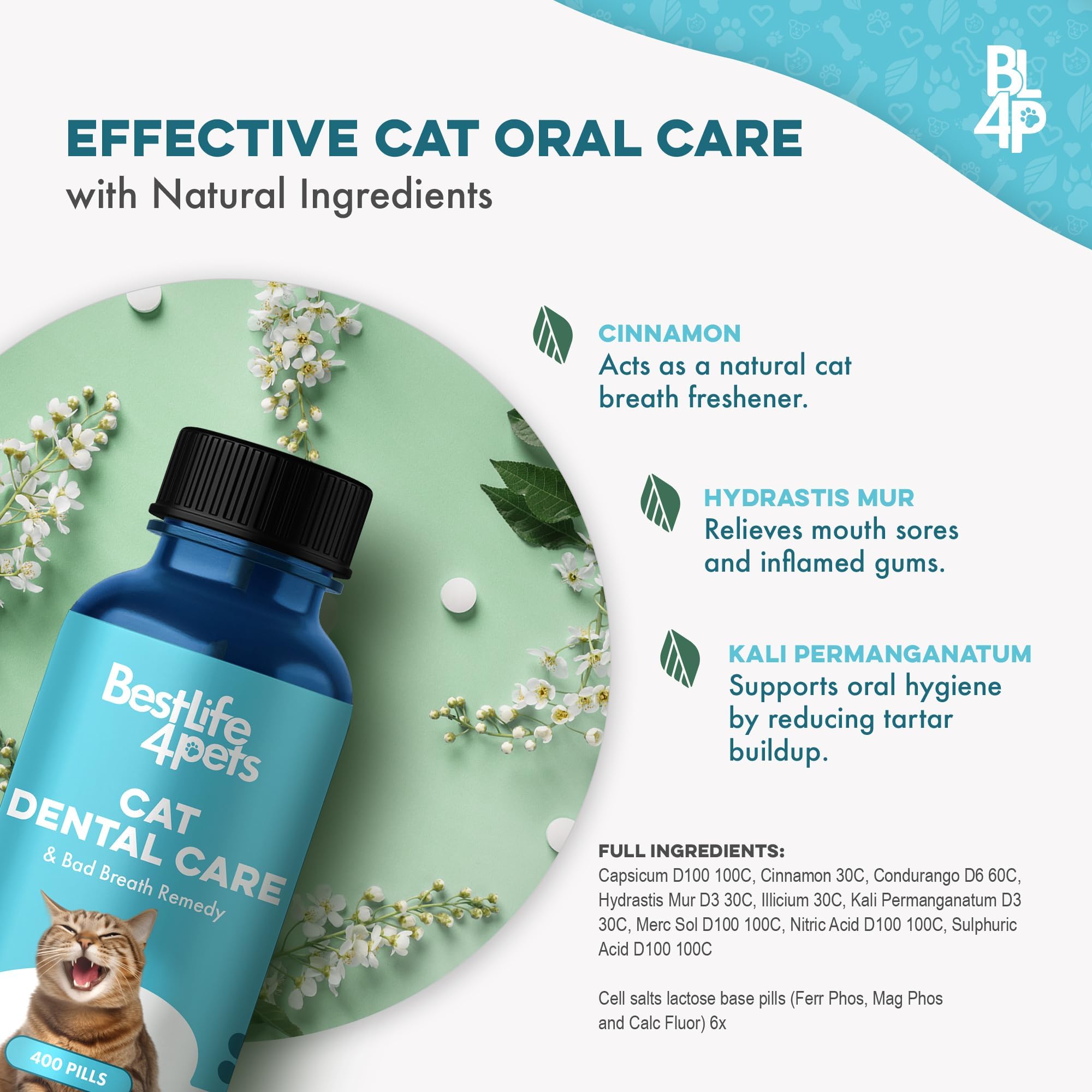 BestLife4Pets cat breath fresher with gentle oral care routine.
