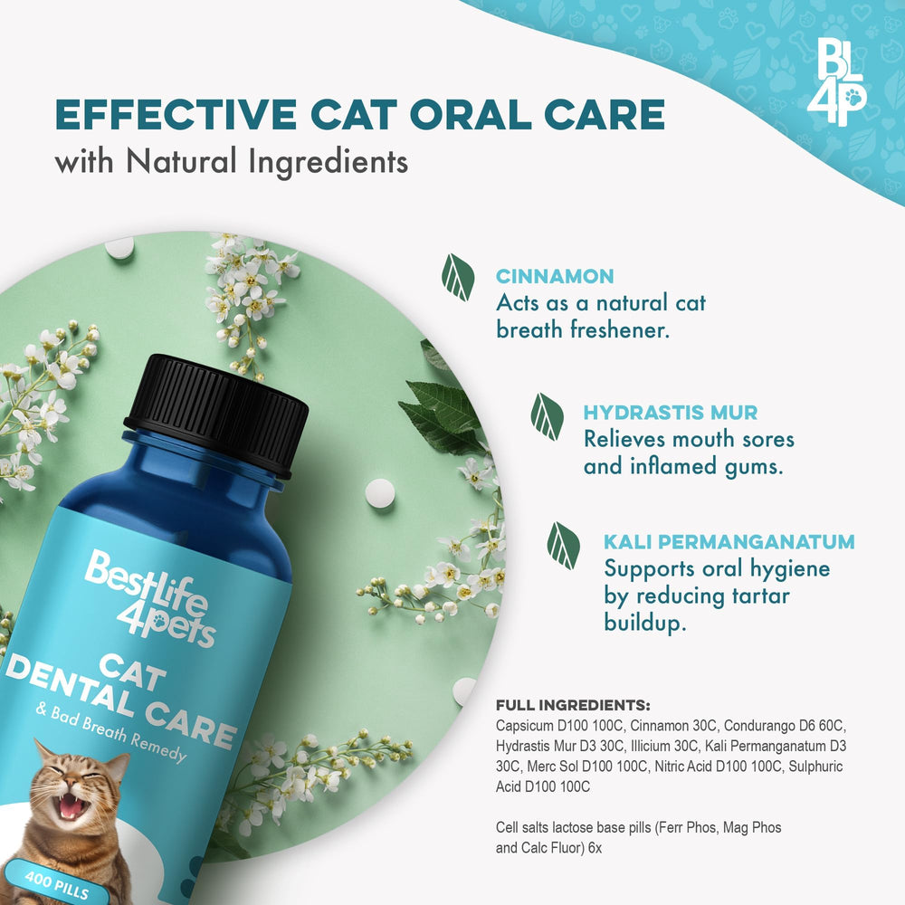 BestLife4Pets cat breath fresher with gentle oral care routine.