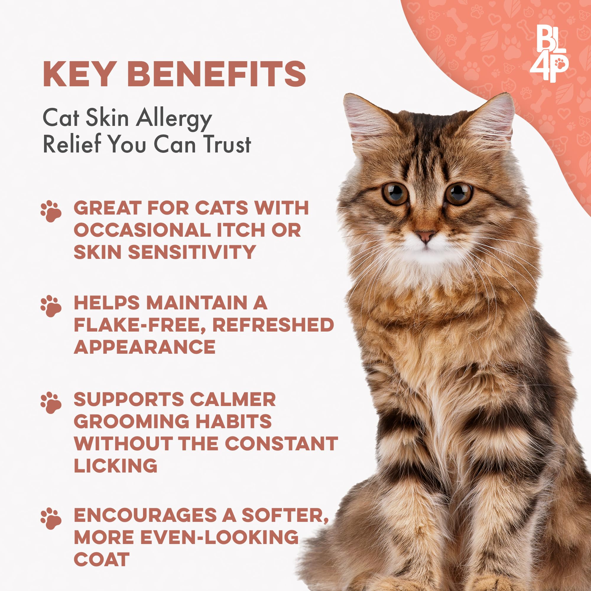 BestLife4Pets cat coat gloss after relief shows healthier fur shine