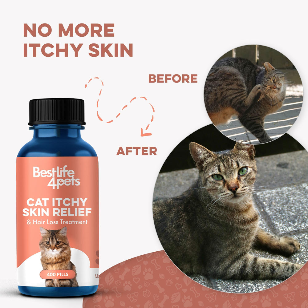 BestLife4Pets dandruff relief texture closeup highlights improved skin moisturization