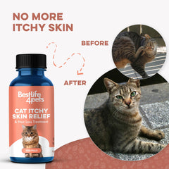 BestLife4Pets dandruff relief texture closeup highlights improved skin moisturization