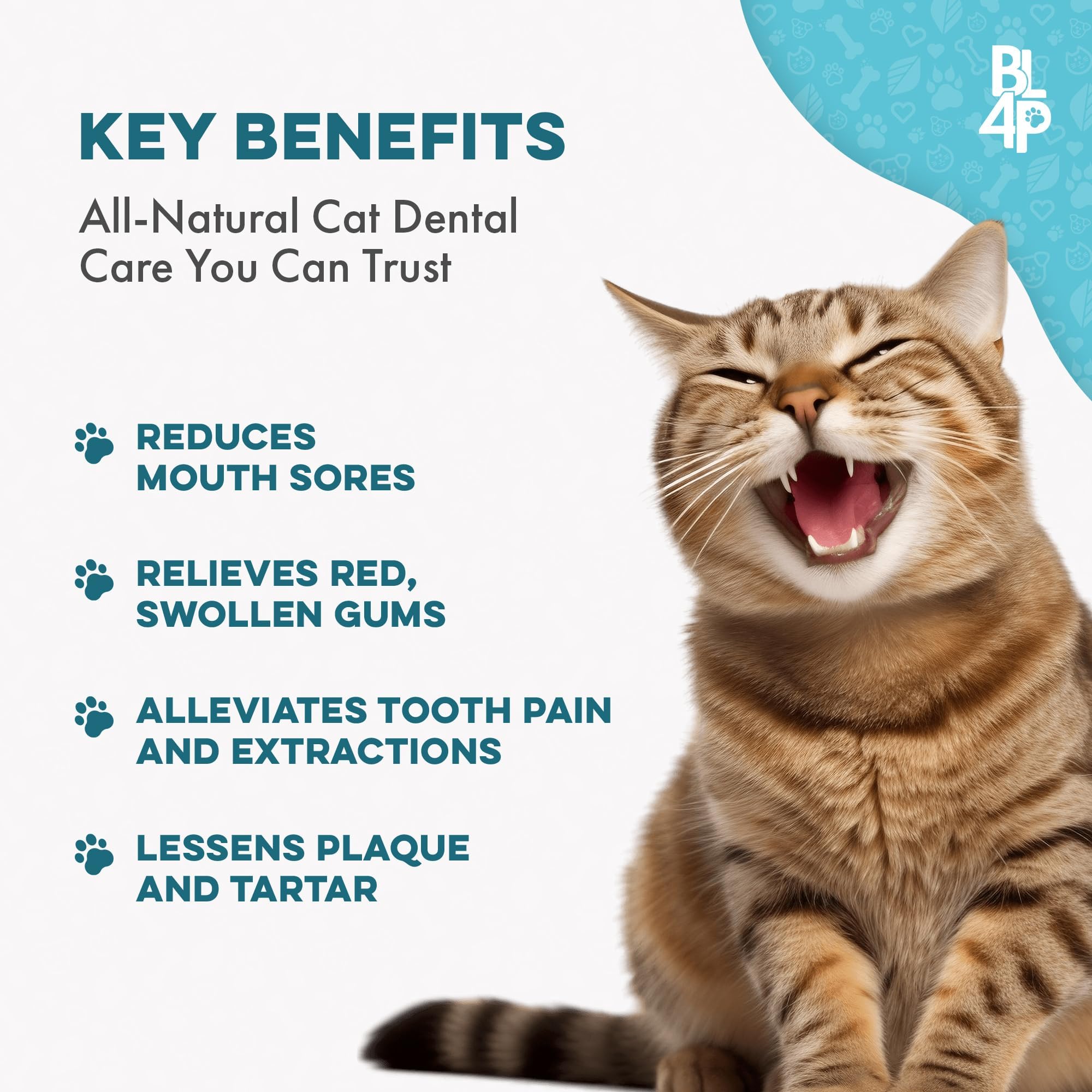 BestLife4Pets cat dental tablets added to food for stress-free oral care.
