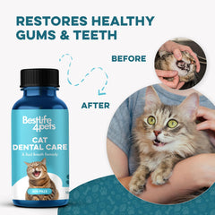 BestLife4Pets cat dental tablets dissolve in water for gentle gums.