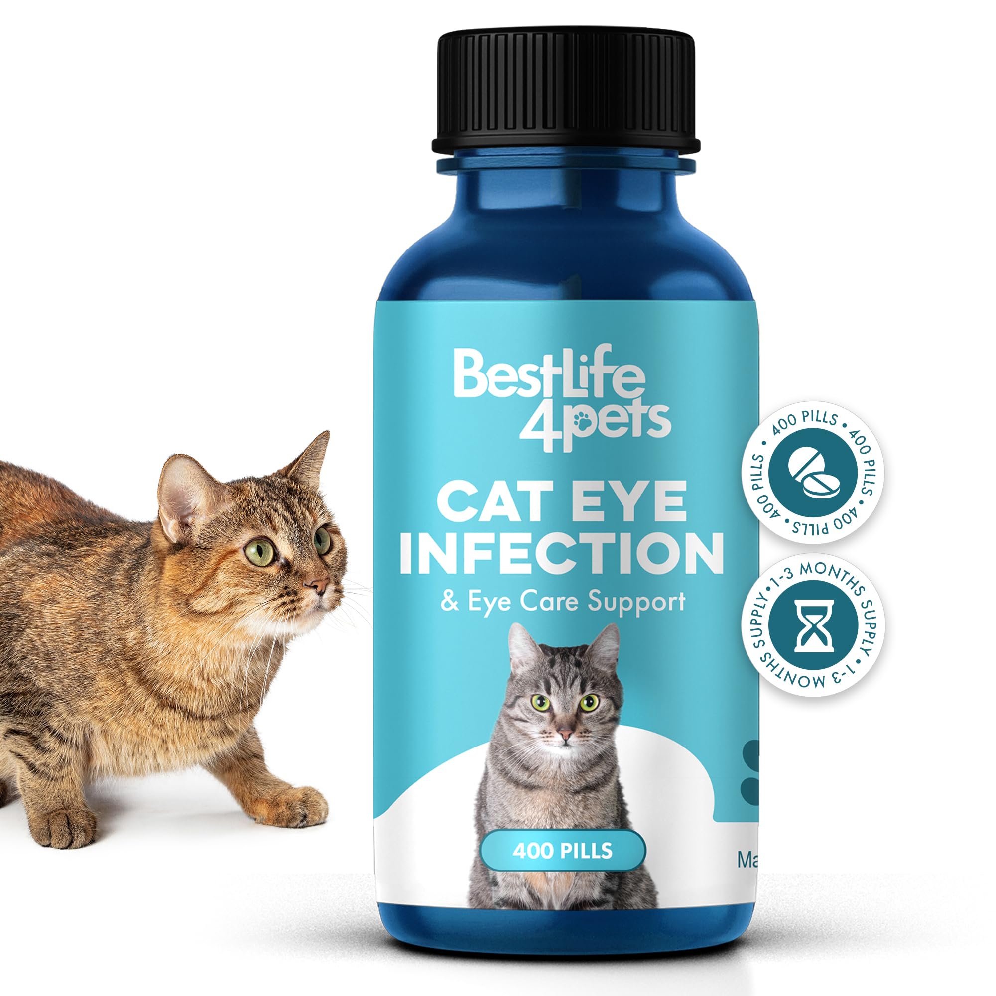 BestLife4Pets cat eye-infection pills support clear vision and comfort.