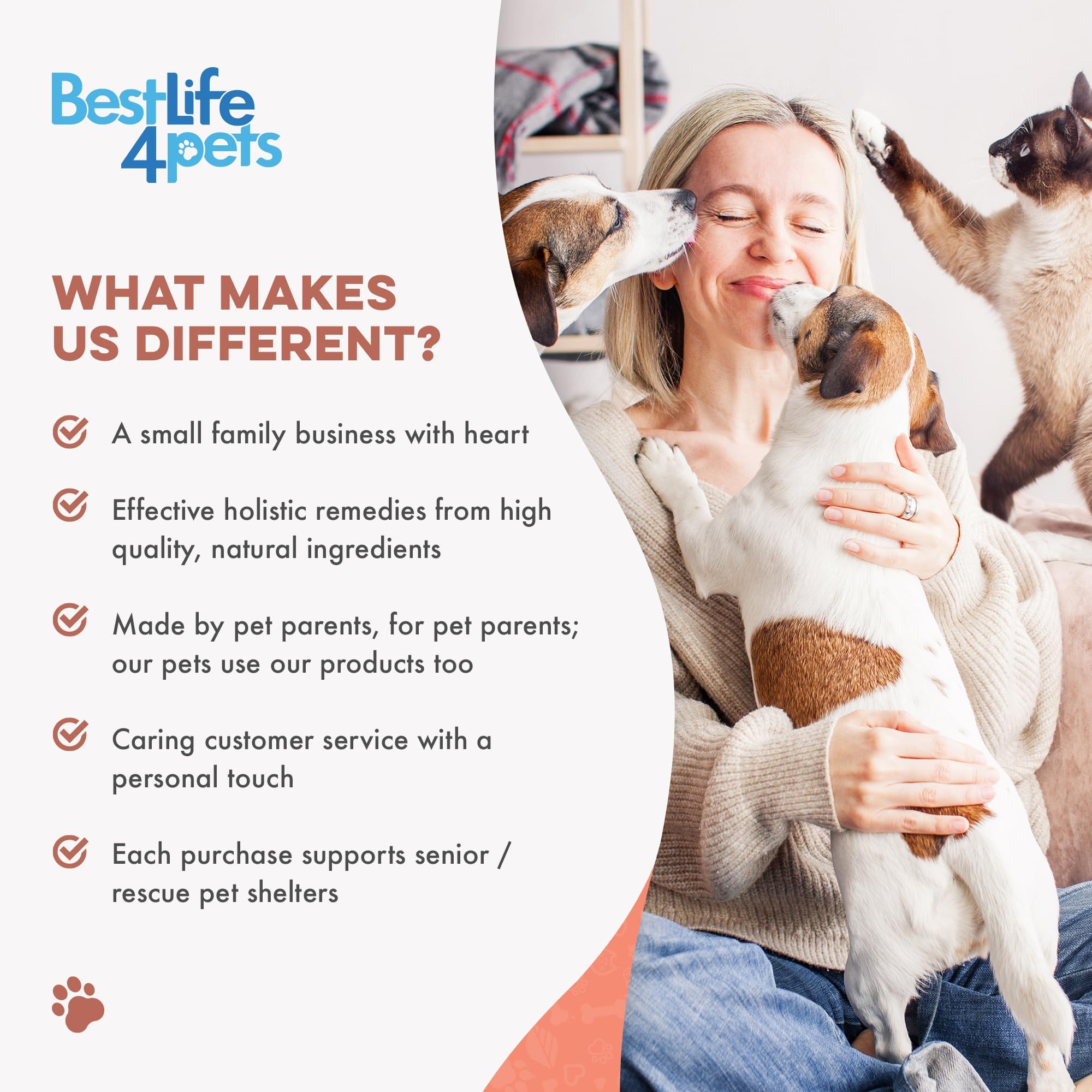 BestLife4Pets happy relaxed cat after use demonstrates calmer behavior