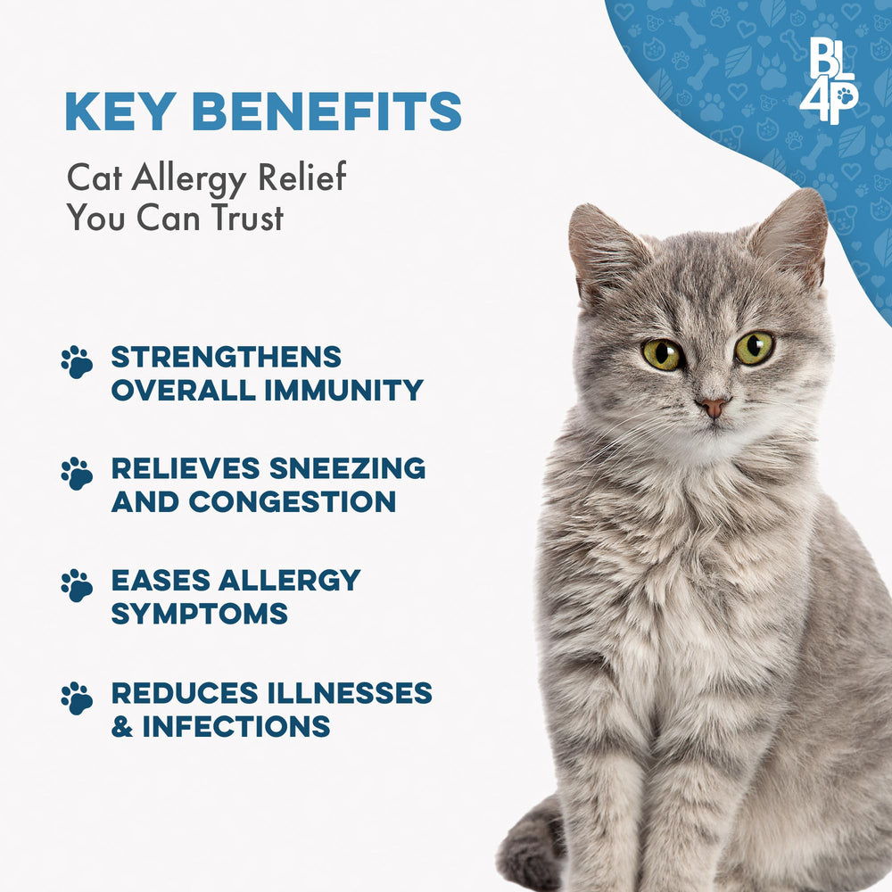 BestLife4Pets cat-pill-closeup small tasteless pills easy to hide in treats