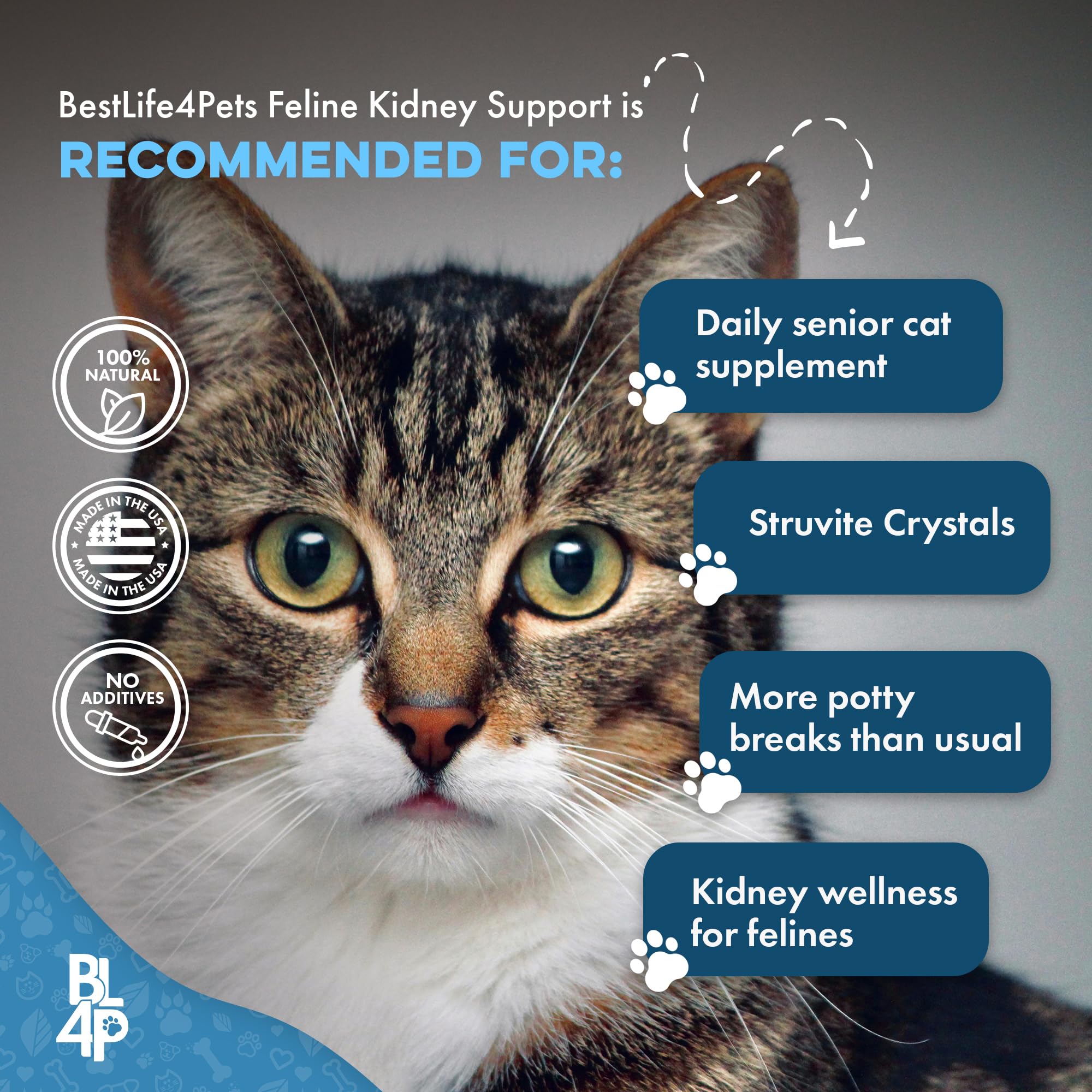 BestLife4Pets cat-taste-free-pills: subtle dosage fits wet or dry meals.