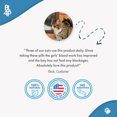 BestLife4Pets cat-uti-pills-closeup: taste-free pills easy to hide in treats for stress-free dosing.