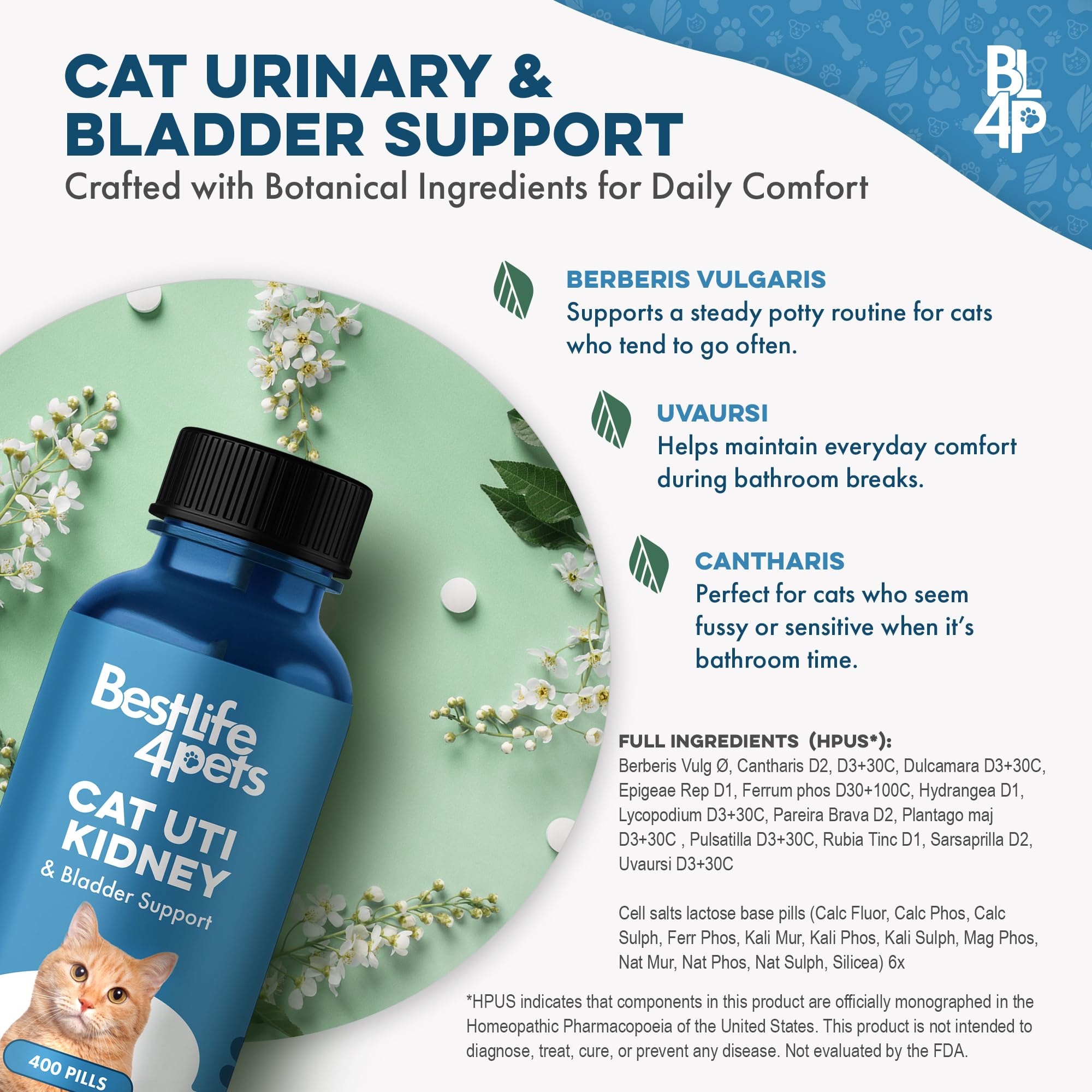 BestLife4Pets cat-water-dissolve-meds: dissolve in water for easy medication in busy households.