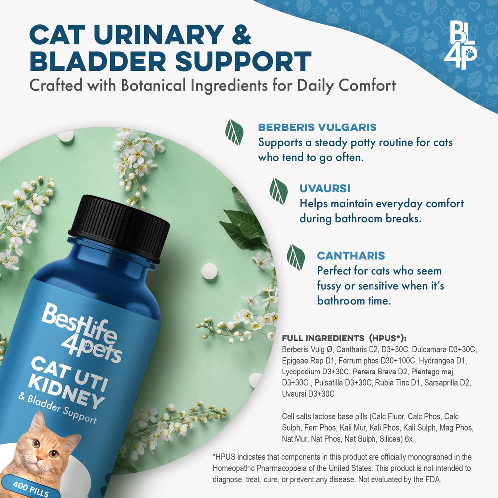 BestLife4Pets cat-water-dissolve-meds: dissolve in water for easy medication in busy households.