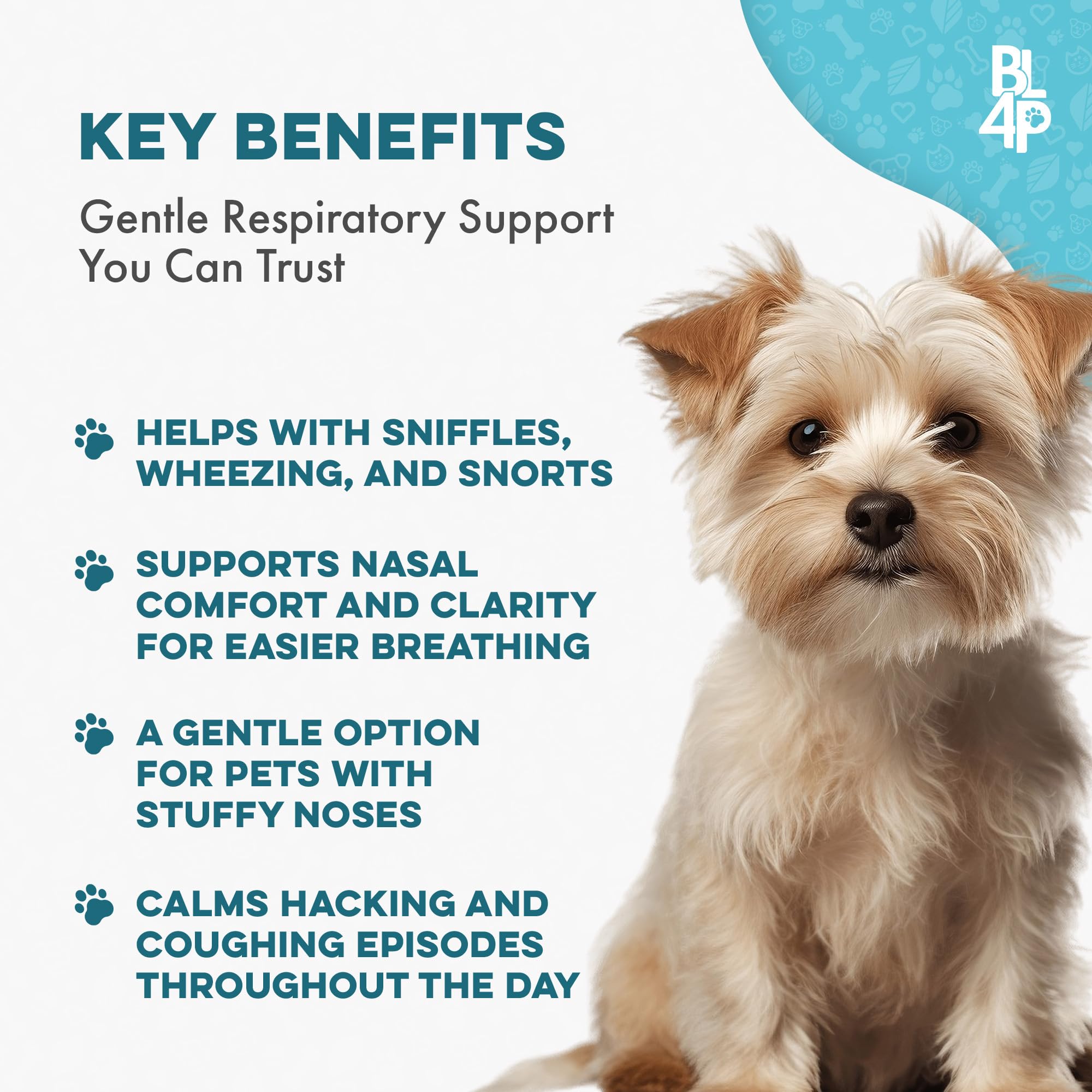 BestLife4Pets dog using pellets sprinkled over food for picky eaters.
