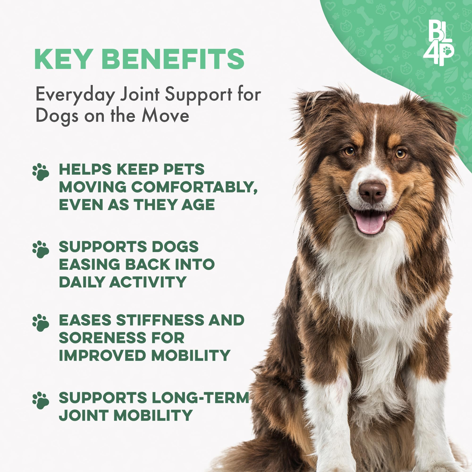 BestLife4Pets dog joints pills closeup highlights a tasteless, easy-to-dose supplement.