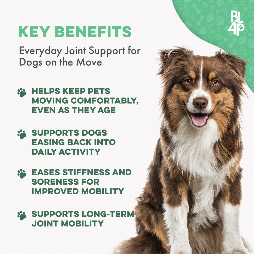 BestLife4Pets dog joints pills closeup highlights a tasteless, easy-to-dose supplement.