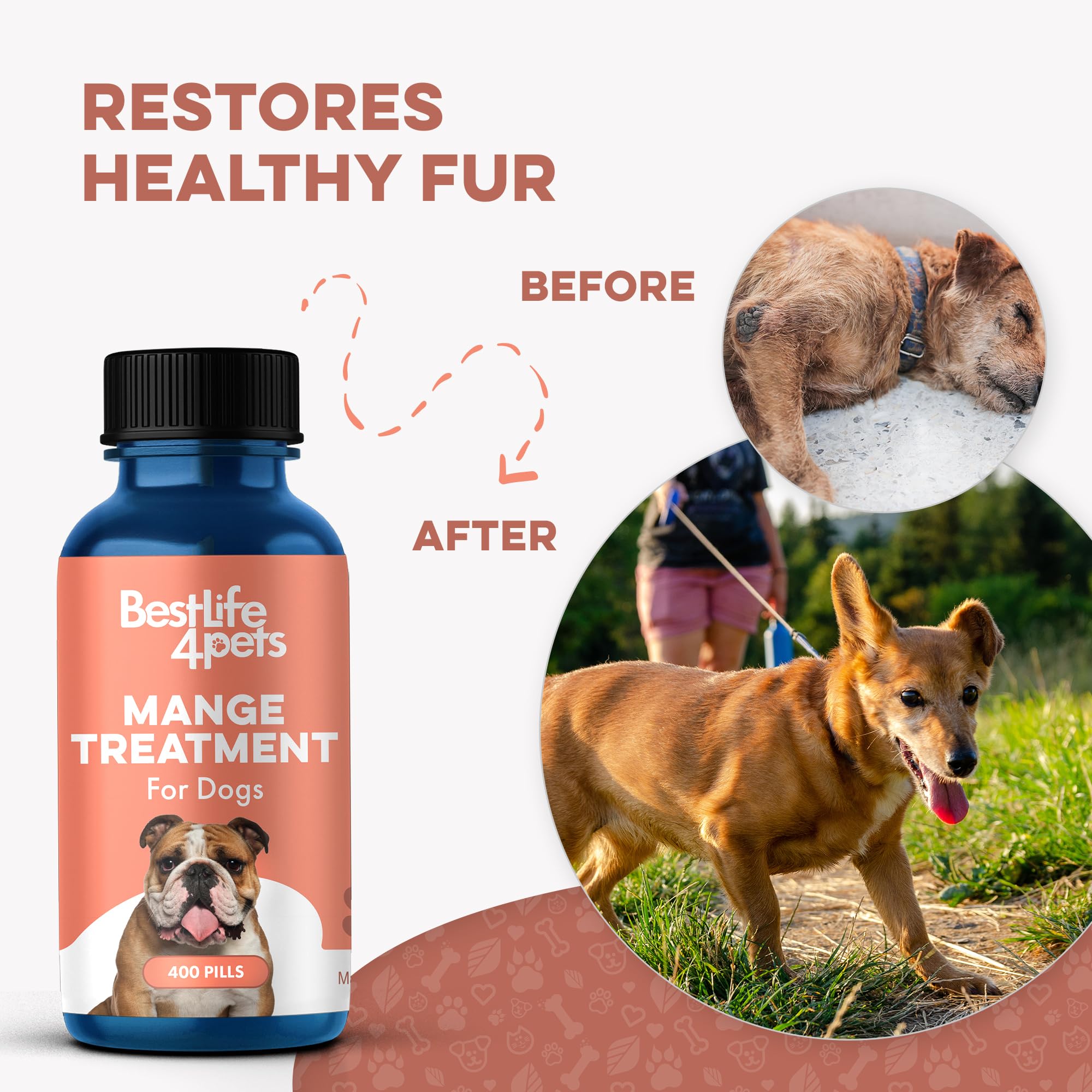 BestLife4Pets dog mange support usage in kibble demonstrates easy inclusion in daily meals.