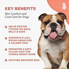 BestLife4Pets mange support pills closeup suggests easy dosing for busy owners.