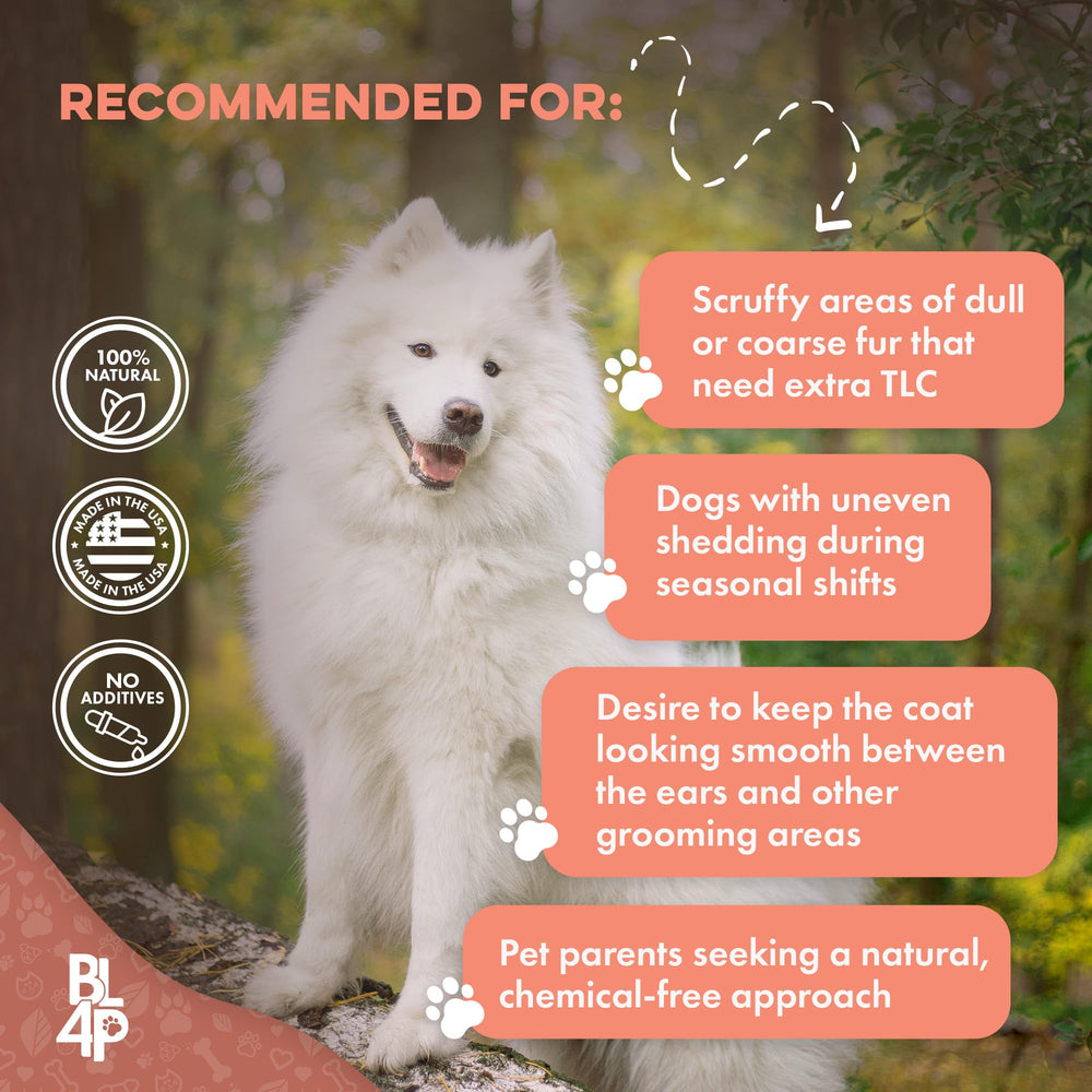 BestLife4Pets mange support powder in a spoon highlight gentle holistic skin relief.