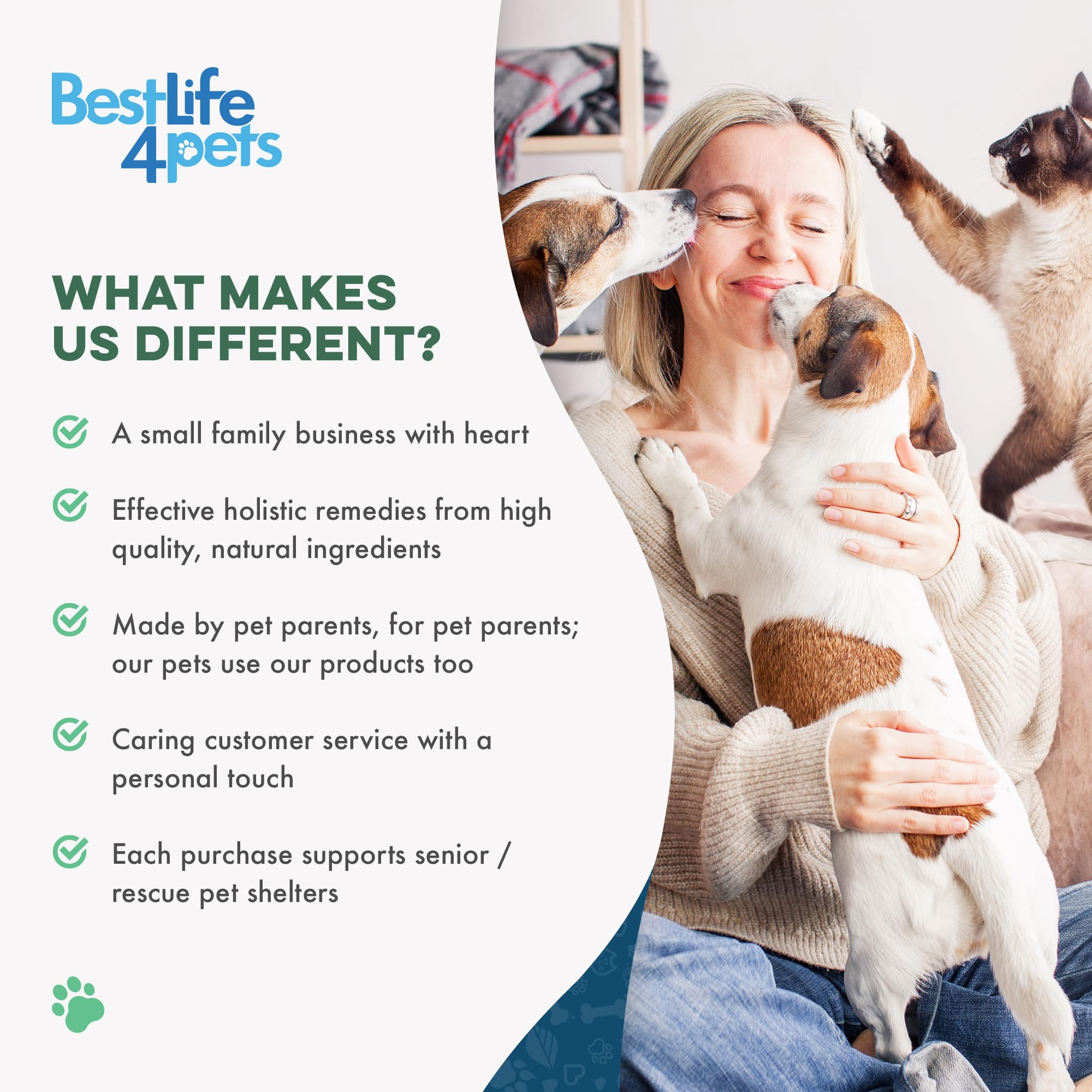 BestLife4Pets dog park play energy shot implies renewed vitality and playful behavior.
