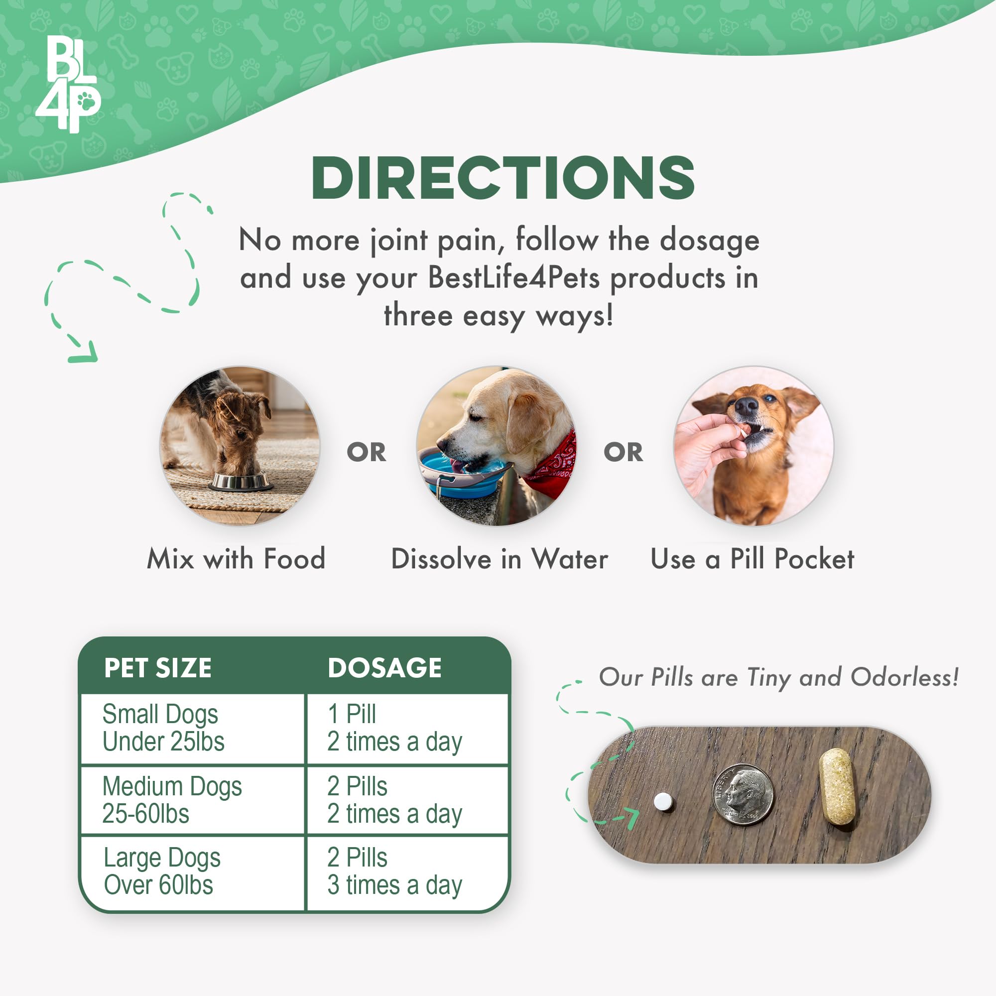 BestLife4Pets dog walking lawn play suggests sustained energy for daily adventures.