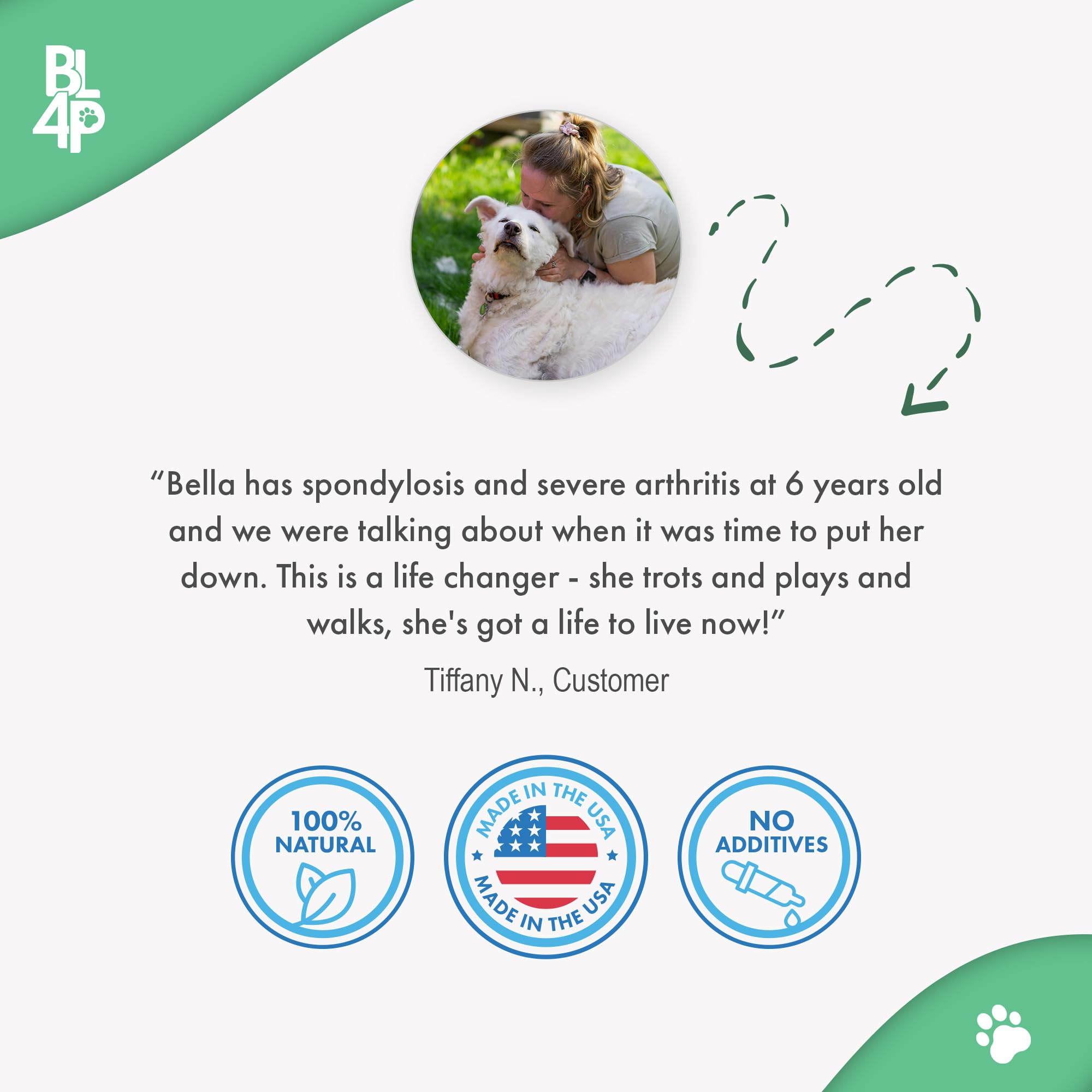 BestLife4Pets dogs rest sleep ease scene hints at more comfortable nights for aging dogs.