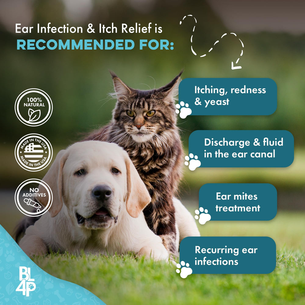 BestLife4Pets-ear-discharge-closeup highlights irritation relief potential.