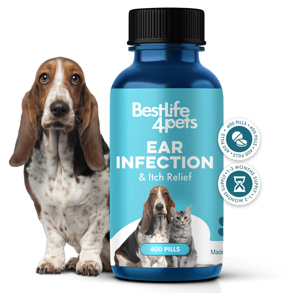 BestLife4Pets ear-infection-relief-pill closeup demonstrates easy administration.