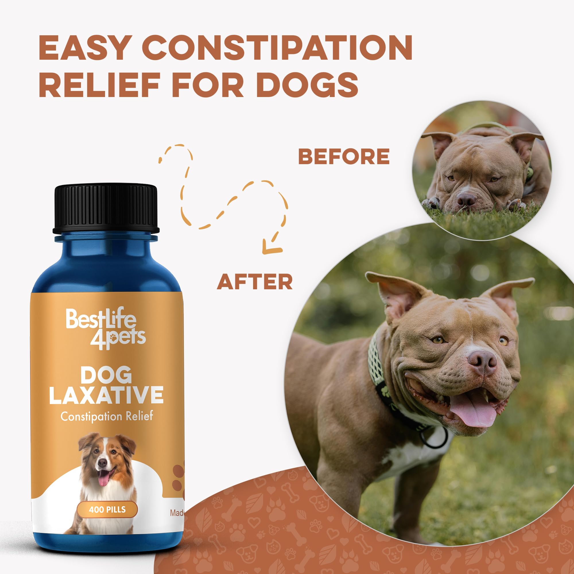 BestLife4Pets easy-to-administer dog pills pictured with kibble option