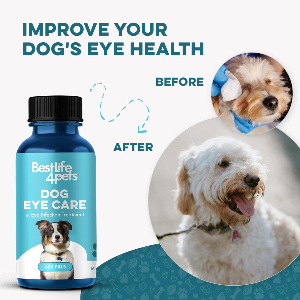 BestLife4Pets dissolving-in-water demonstrates easy, flexible administration for eye health.