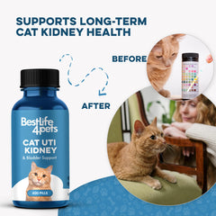 BestLife4Pets kidney-support-cats-pack: holistic kidney function support for healthier renal system.